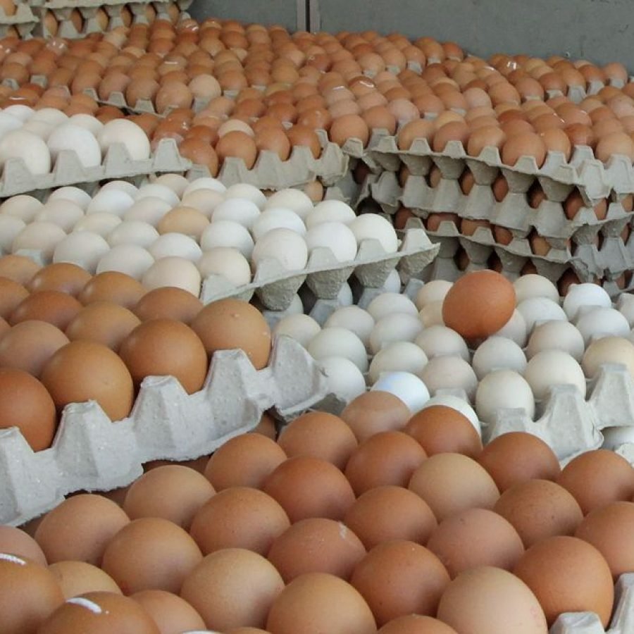 Domestic Trade and Consumer Affairs Ministry enforcement officers conduct checks on prices of eggs at Pasar Pelabuhan Klang in Port Klang December 13, 2021.    KK SHAM/The Star